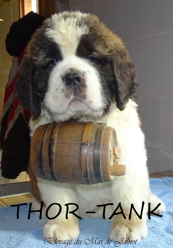 Thor-tank du mas de Jalnot