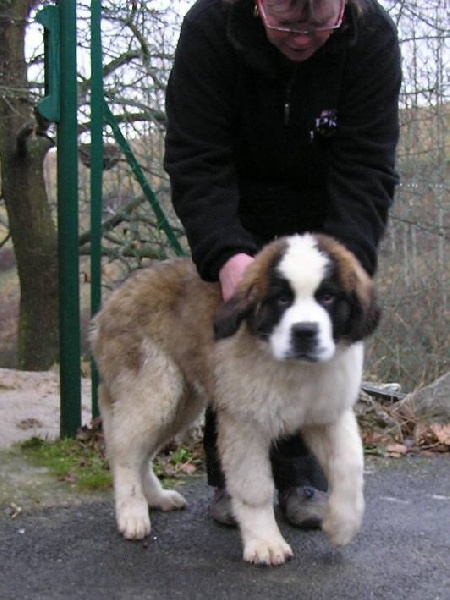 Dakota du mas de Jalnot