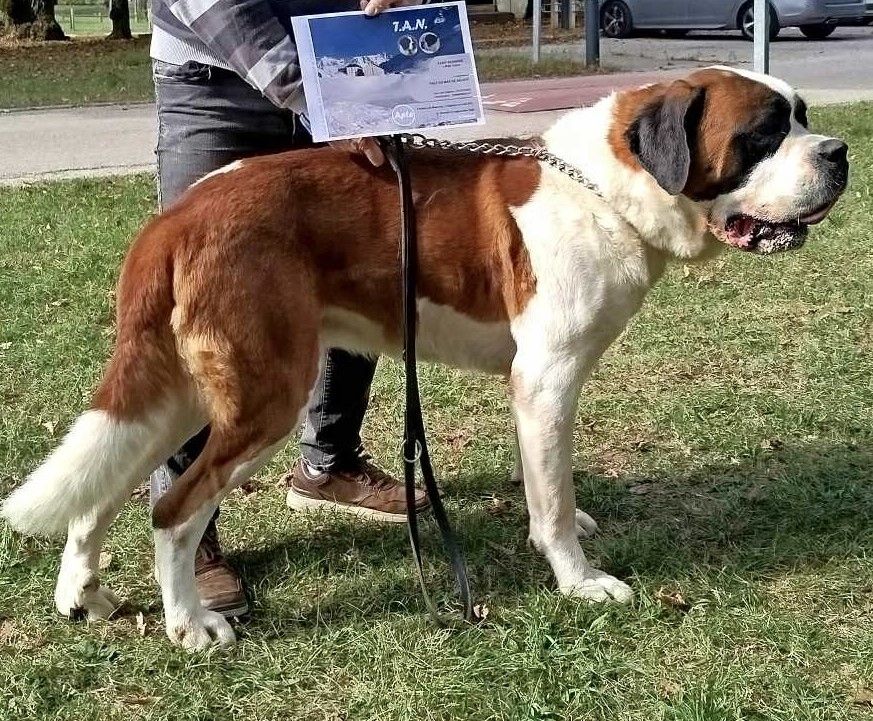 Ralf du mas de Jalnot