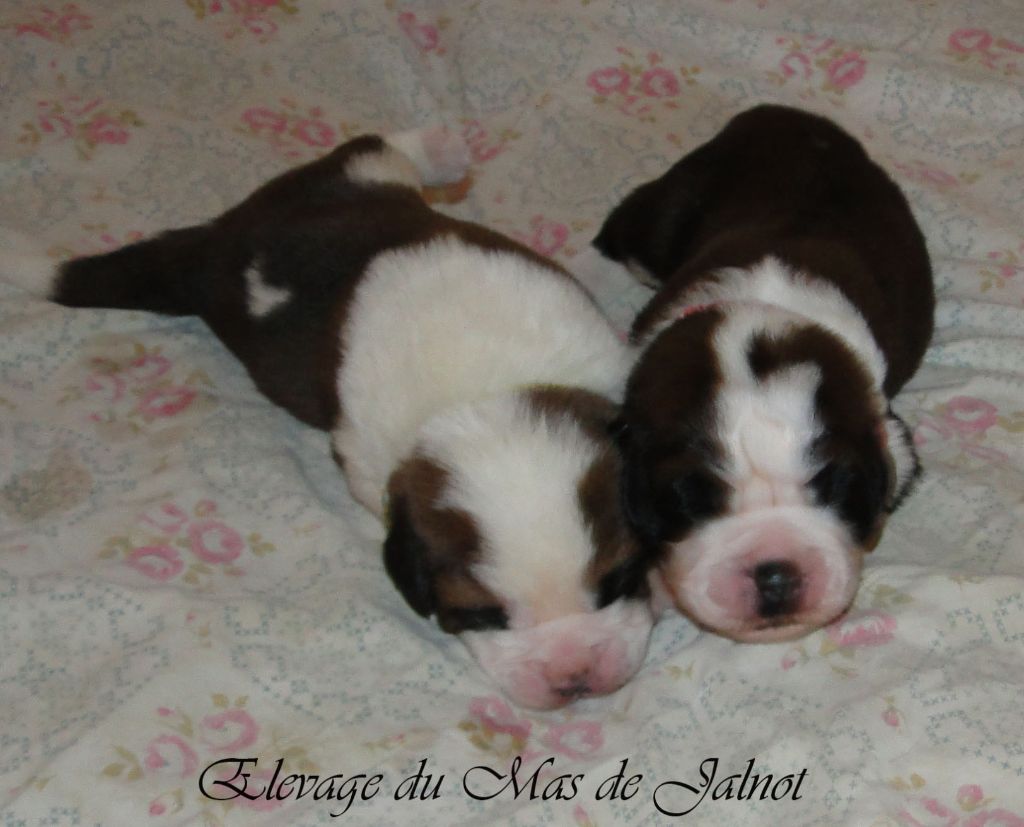 bébés 2021 Nortia - Olivia - Monoï