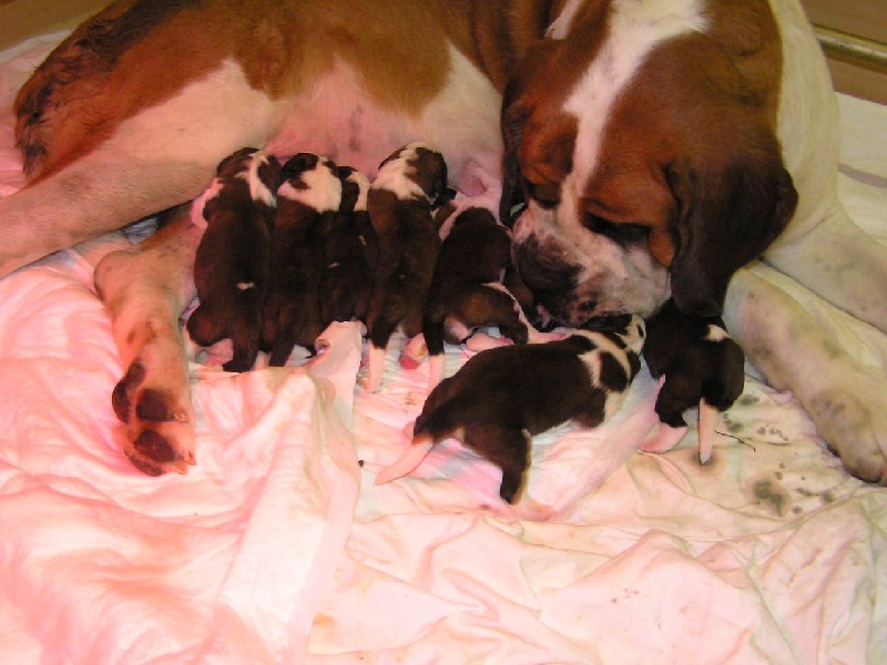 les bébés 2009